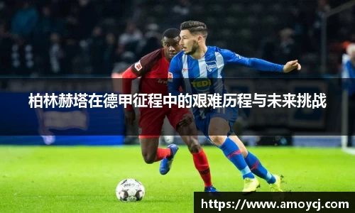 柏林赫塔在德甲征程中的艰难历程与未来挑战