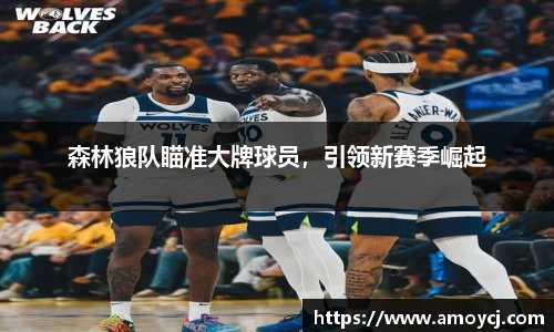 森林狼队瞄准大牌球员，引领新赛季崛起