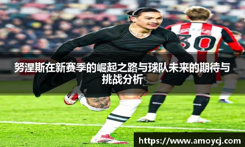 努涅斯在新赛季的崛起之路与球队未来的期待与挑战分析