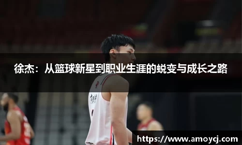 韦德体育