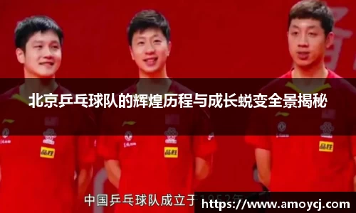北京乒乓球队的辉煌历程与成长蜕变全景揭秘