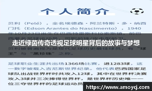 走近绿茵传奇透视足球明星背后的故事与梦想