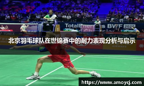 北京羽毛球队在世锦赛中的耐力表现分析与启示