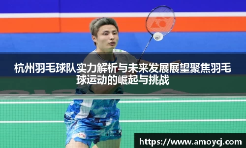 杭州羽毛球队实力解析与未来发展展望聚焦羽毛球运动的崛起与挑战