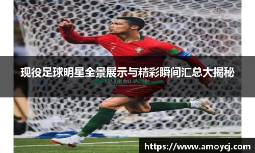 现役足球明星全景展示与精彩瞬间汇总大揭秘