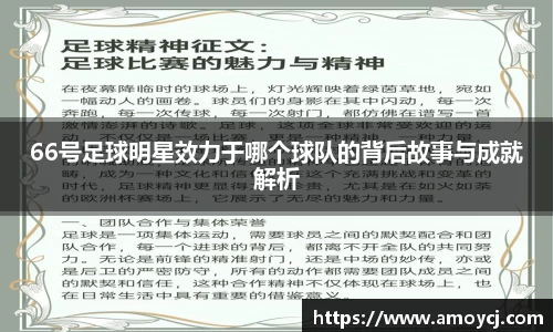 伟德bv国际体育